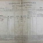 Cedulas 1893-1894